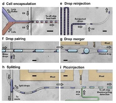 Microfluidic PCR, qPCR, RT-PCR & qRT-PCR_microfluidic droplet single cell RT PCR analysis