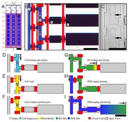 Microfluidic PCR, qPCR, RT-PCR & qRT-PCR_microfluidic single cell RT PCR analysis