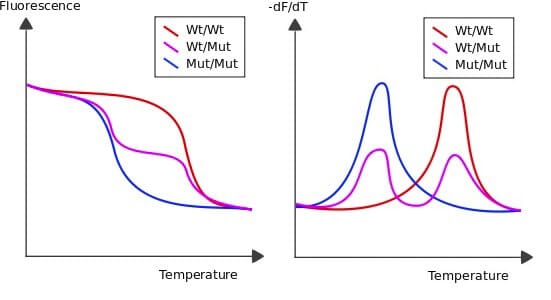 Microfluidic PCR, qPCR, RT-PCR & qRT-PCR_qPCR Melting curve analysis