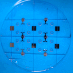 electrophoresis plug and play microfluidic setup