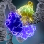 fastgene-microfluidic-lab-on-chip-qPCR-qRTPCR_PCR DNA amplification