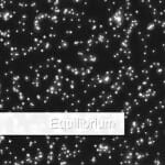 microfluidic stop flow plug and play microfluidic setup