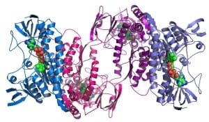 Lab-on-a-chip and proteomics