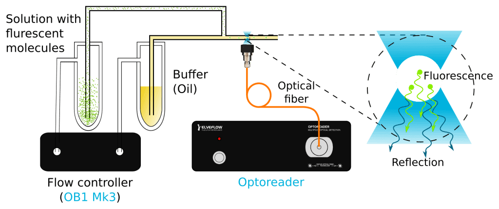 fluorescent droplets fluorescence measurement 