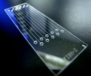 lab-on-a-chip-perspectives