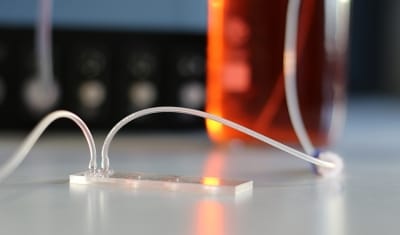 Application note cell culture on microfluidic chip microslide 2