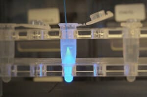 Fluorescence probe measurement