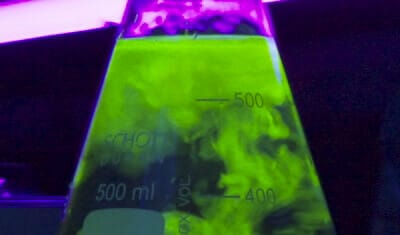 Fluorescence probe