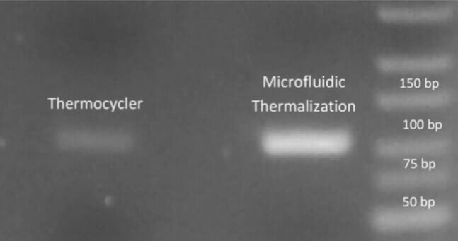 Fast sensitive and large volume on chip real time quantitative PCR