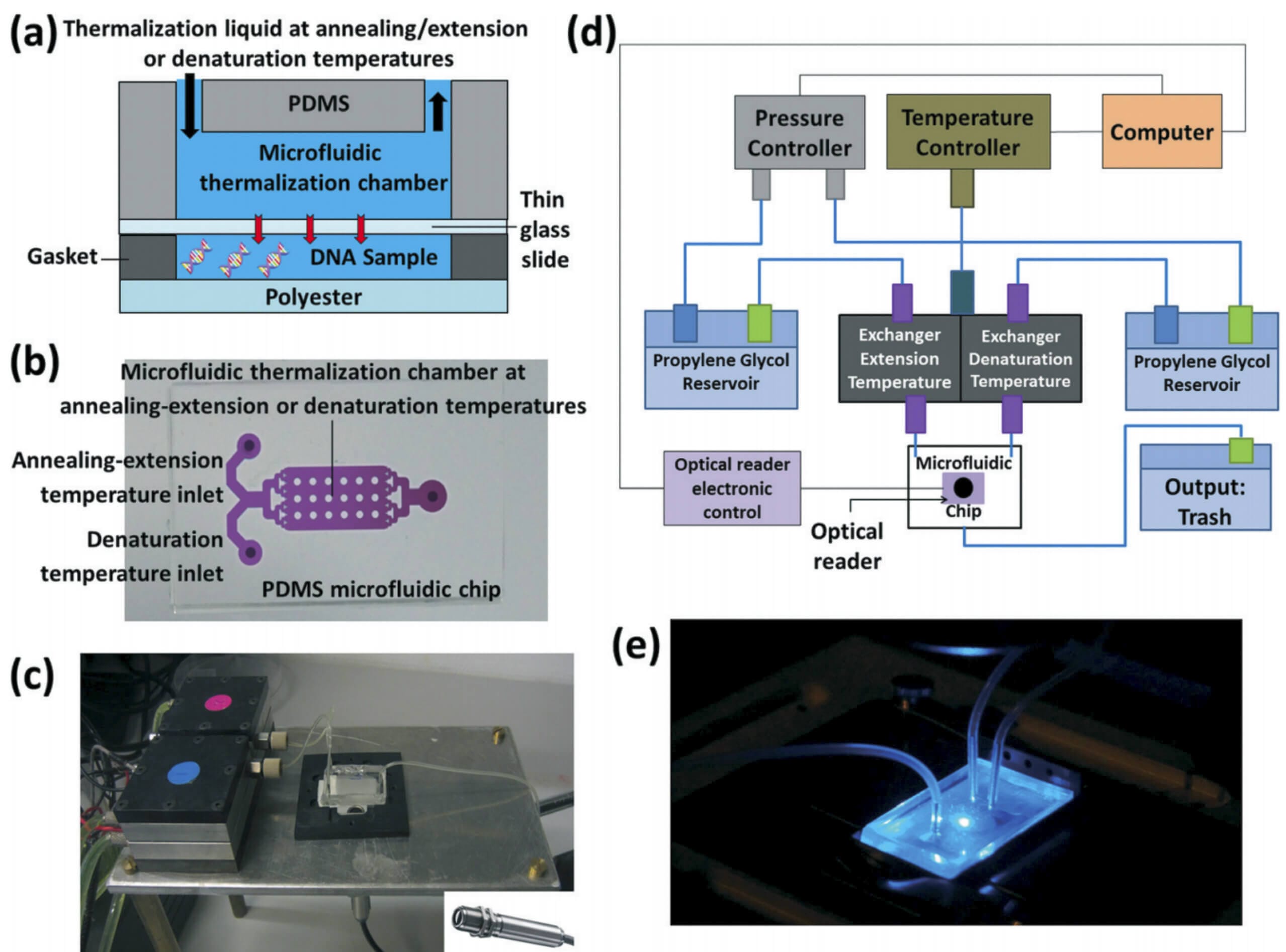 Ultra-fast microfluidic, sensitive and large-volume on-chip real time quantitative PCR (QPCR)