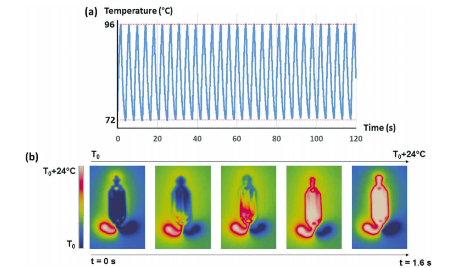 Ultra-fast microfluidic multiplex real-time quantitative PCR (QPCR) for the molecular diagnostic of bacterial and virus infections