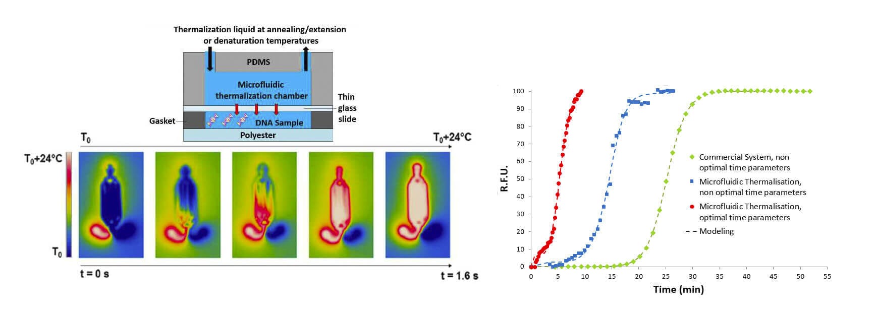 Ultra-fast sensitive and large-volume lab on-chip real time quantitative PCR