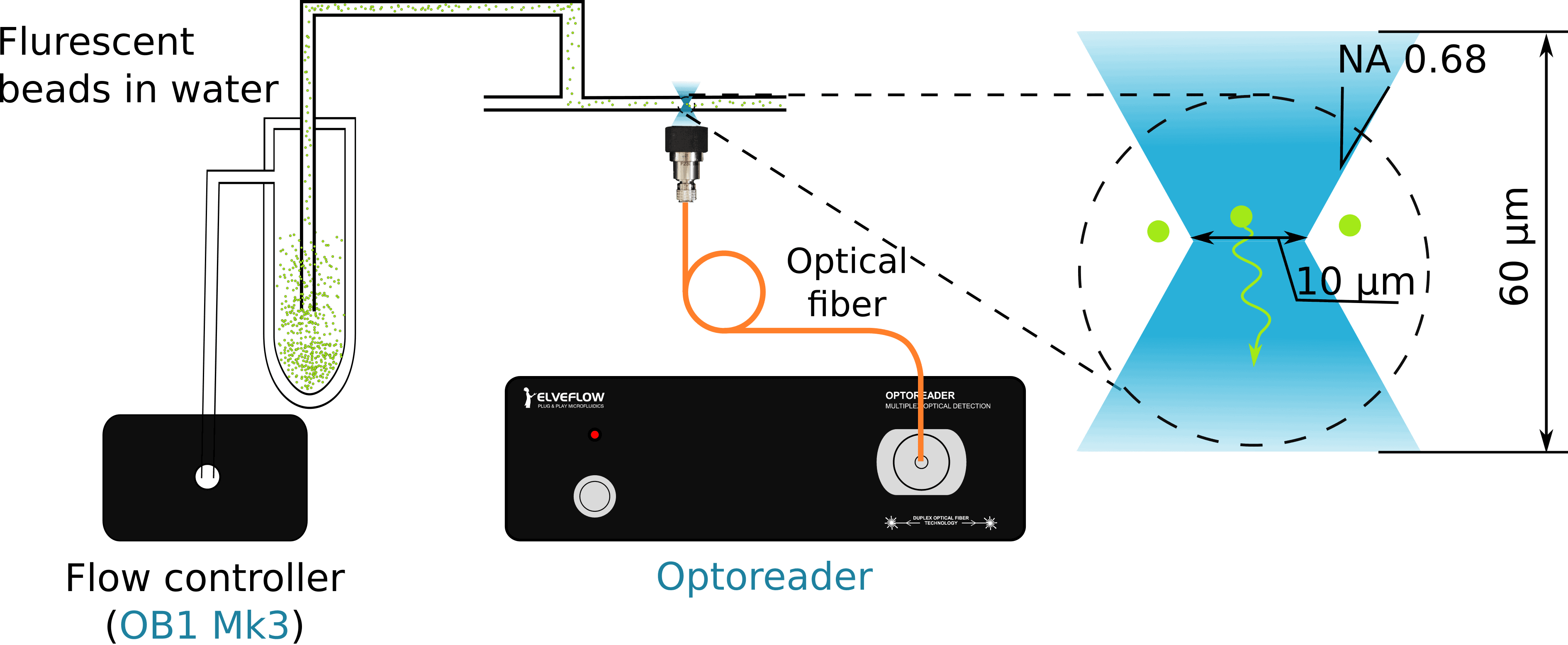 microparticles Fluorescence particle detection with OptoReader and Ob1