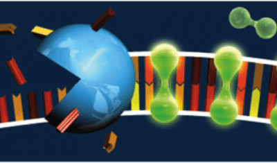fluorescence detection for microfluidic device 131