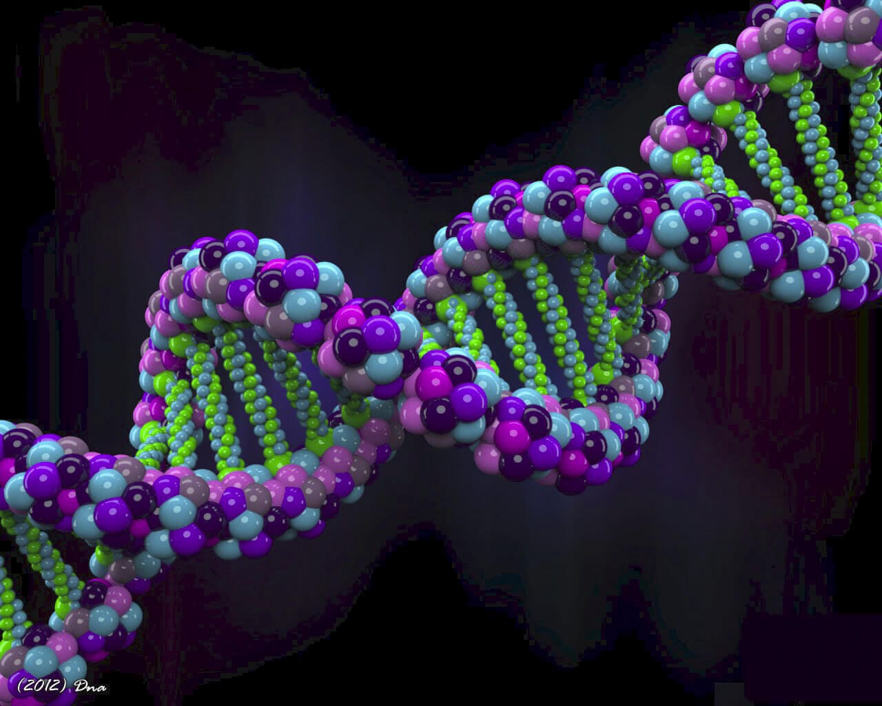 microfluidic-bioinformatics for genome analyses-the metable