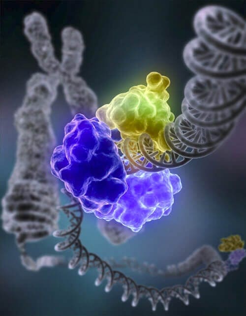 Microfluidic-Molecular machines for DNA repair-The DNAREPAIRMAN Project-1