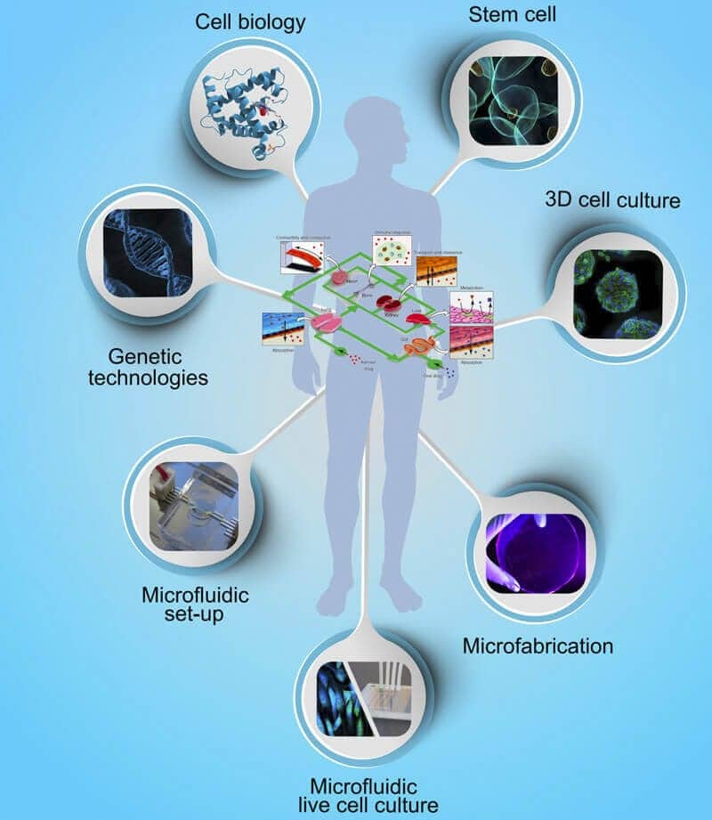 organ-on-chip-microfluidic-research-project