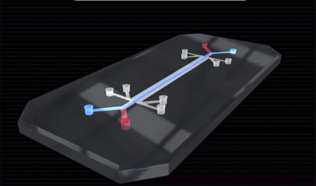 Applications des organes sur puce microfluidique