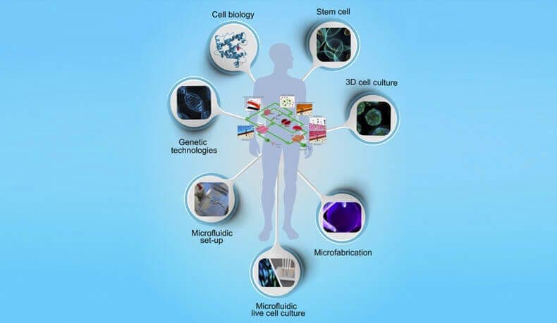 Organ-on-a-chip1