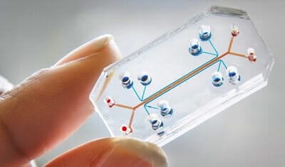 microfluidique + organs sur puce
