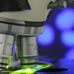 organ on chip--5