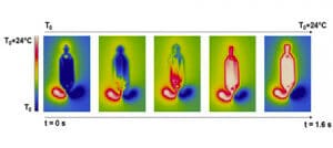 Temperature-profile-of-Fastgene-microfluidic-chip-thermal-uniformity-of-0.03-Cdc