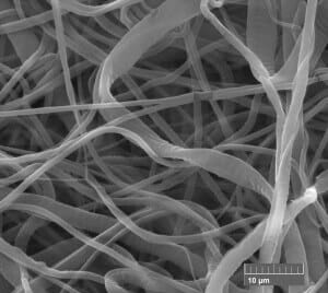 SEM image of randomly organized scaffold 