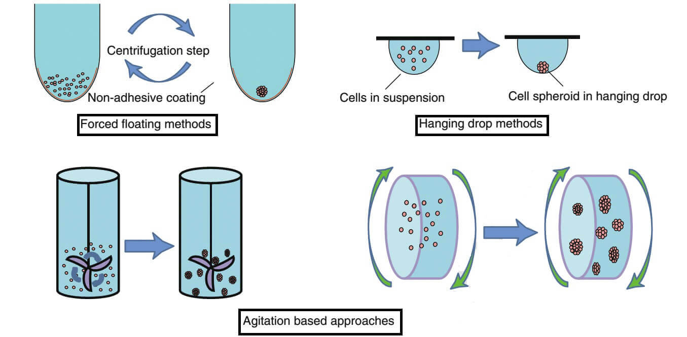 3D culture for cells methods and applications - a short review-