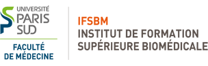 logo-ifsbm-small