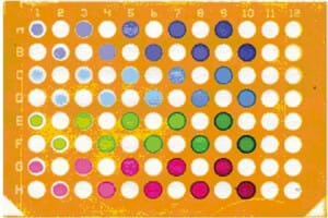 MICROFLUIDIC PAPER-BASED ANALYTICAL DEVICES-DETECTION AND SEPARATION METHODS OF PAPER-BASED MICROFLUIDIC DEVICES