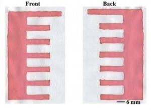 Hydrophobic channels printed with wax screen-printing