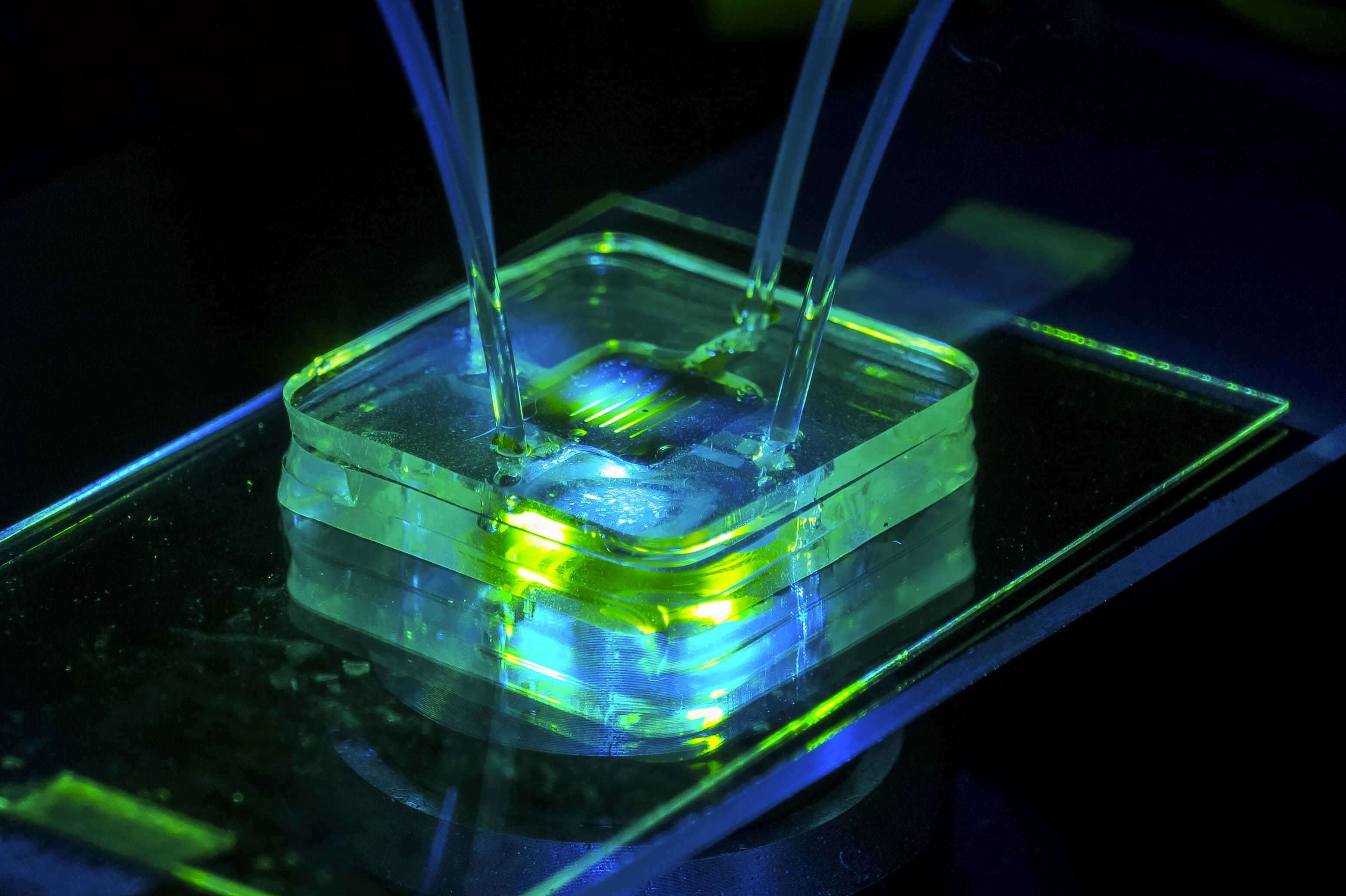 Materials for Microfluidic Chips Fabrication