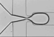 microfluidic droplet on demand