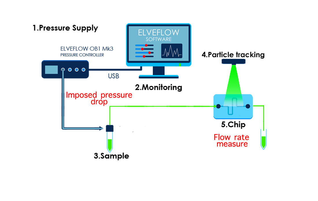 Pressure-drop-monitoring-flow-rate-measure-microrheology-rheology-microfluidics-rheometer-rheometry