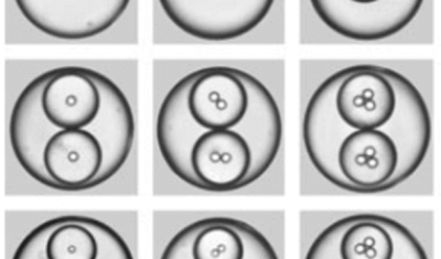 microreactors-microfluidics-in-chemistry-a-review-title-photo