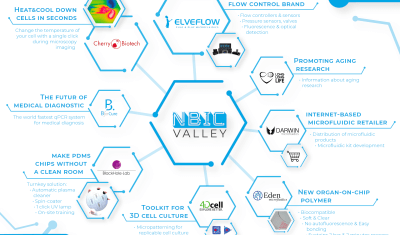 NBIC-Recrutement-US-Flyer