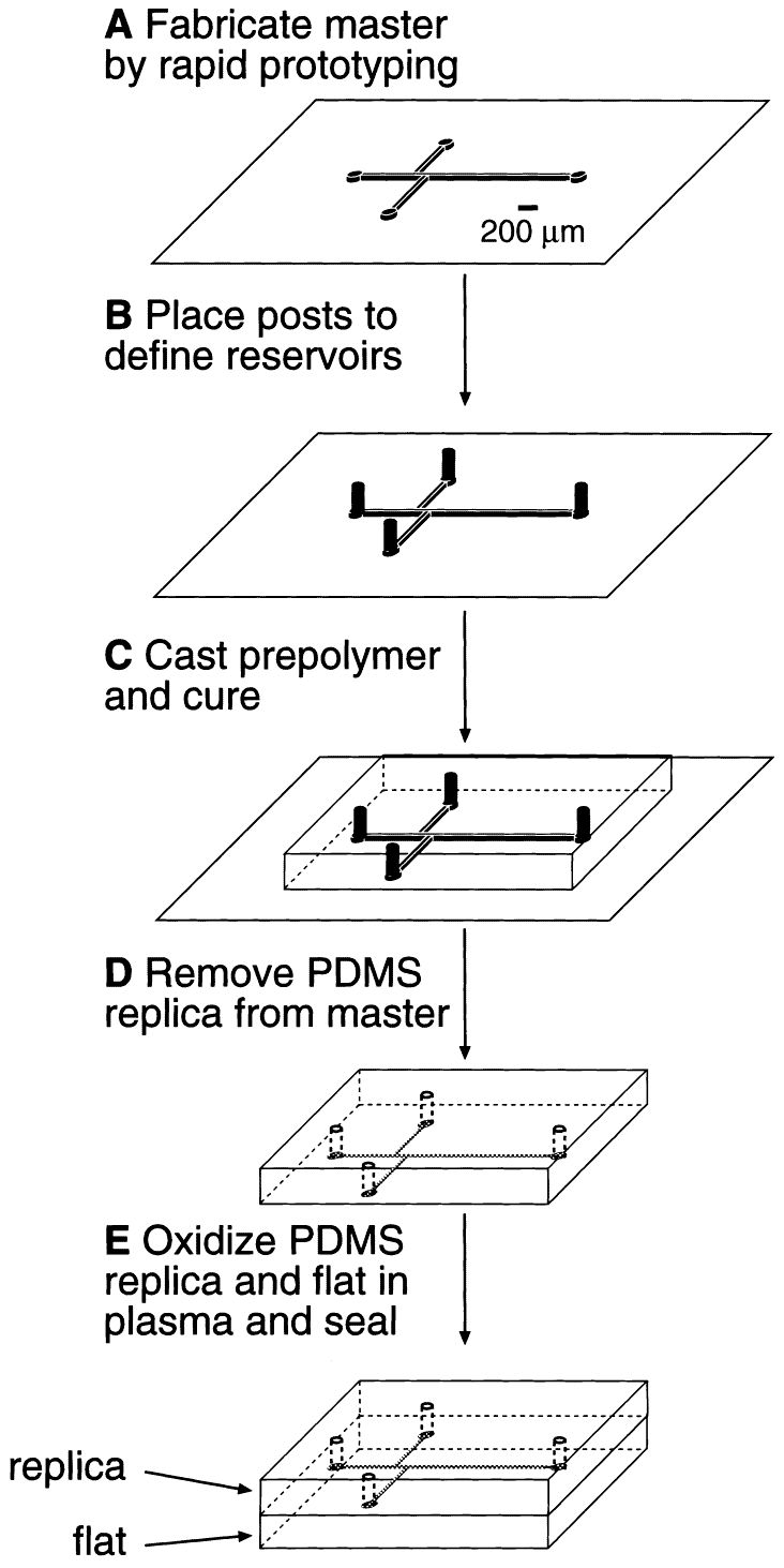 The history of microfluidics Elveflow