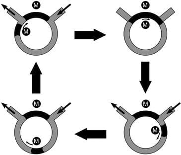 Ferrofluidic pump-Magnetic fluids and microfluidics-Elveflow-NBIC Valley-startup-innovation-technology