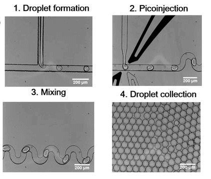 Gold Nanoparticle Synthesis-Microfluidic Applications-Elveflow-NBIC Valley-Startup-Innovation