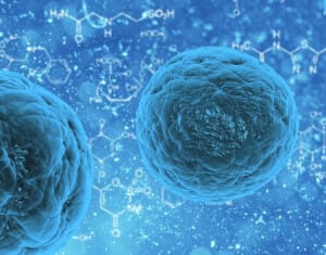 3D cell culture methods and applications a short review introduction cells from a 3D cell culture 300x235