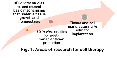 3D cell culture   Celltherapy Elvesys