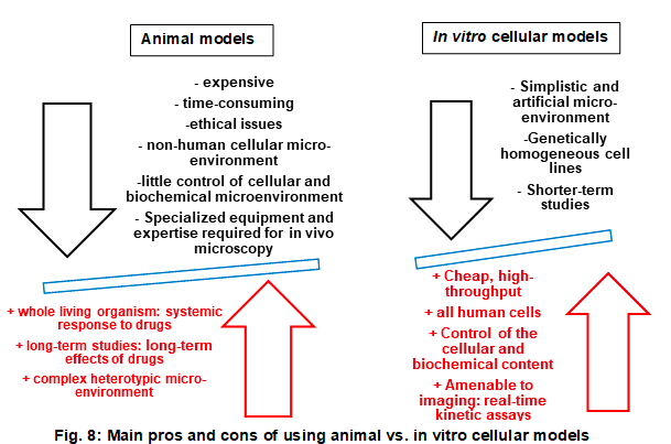 3D cell culture   invivovsinvitro Elvesys