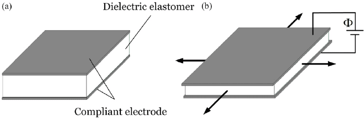 Dielectric-elastomer-soft-robot-robotics-softbot-softrobot-microfluidics-pressure-control