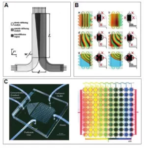 Microfluidic gradient generator 2
