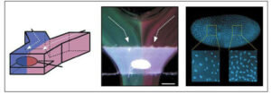 Microfluidics - Integrated temperature control 8