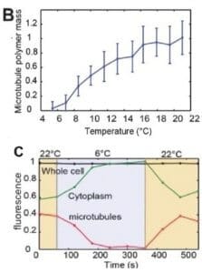 Temperature control microscopy