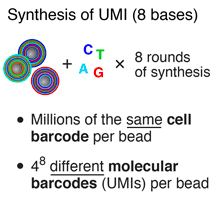 UMI-synthesis-synthesis-drop-seq-microfluidics-single-cells-analysis-ARN-AND-barcode-complex-tissue