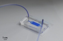microfluidic chip elveflow