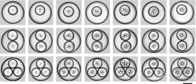 microreactors-microfluidics-in-chemistry-a-review-triple-emulsions