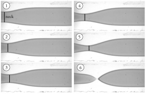 Figure 2: Snapshots of a growing droplet (water-in-oil) and a final breakup in a co-flowing geometry: